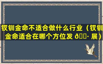 钗钏金命不适合做什么行业（钗钏金命适合在哪个方位发 🌷 展）